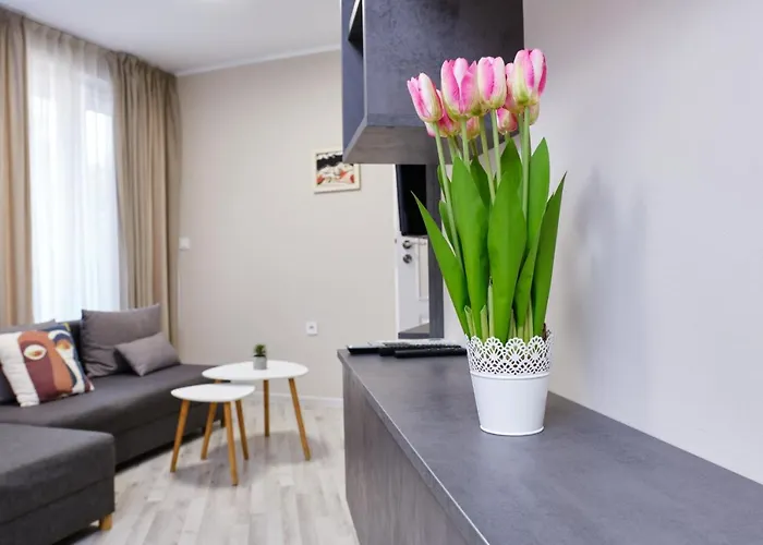 Cozy 1-bed 2 アパート プロヴディフ