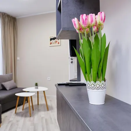 Cozy 1-bed 2 Апартамент Пловдив